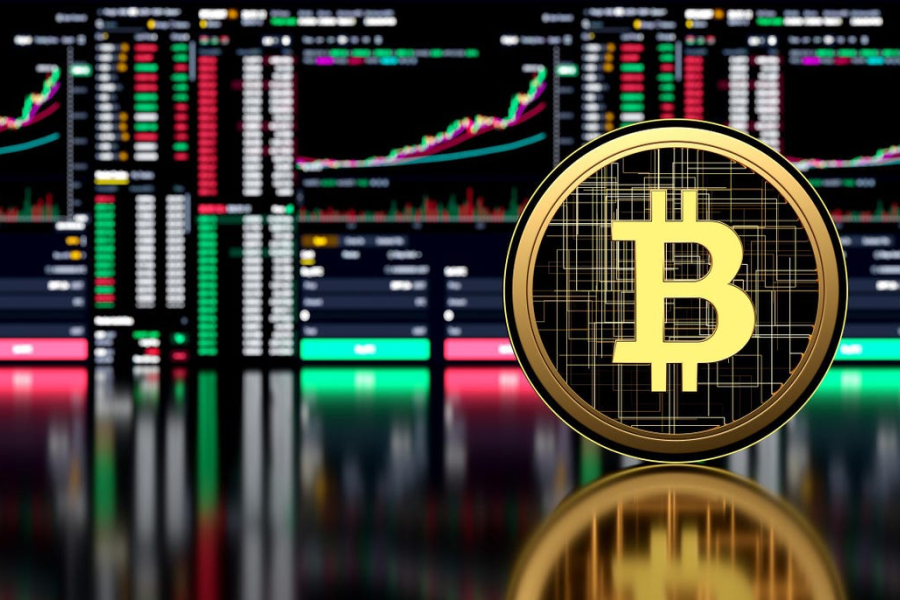 How Crypto Finance Determines Participant Investment Returns